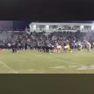 Meet your Posher, Devon